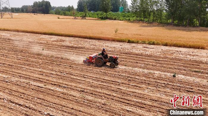 5月24日,河南省柘城县牛城乡杨楼村村民抢抓农时播种玉米.
