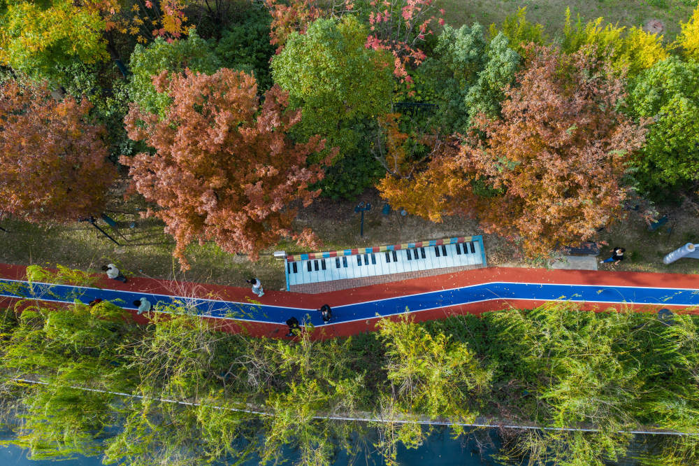 浙江湖州城市步道铺就居民幸福生活