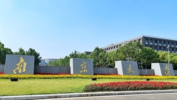 南京大学门口图片