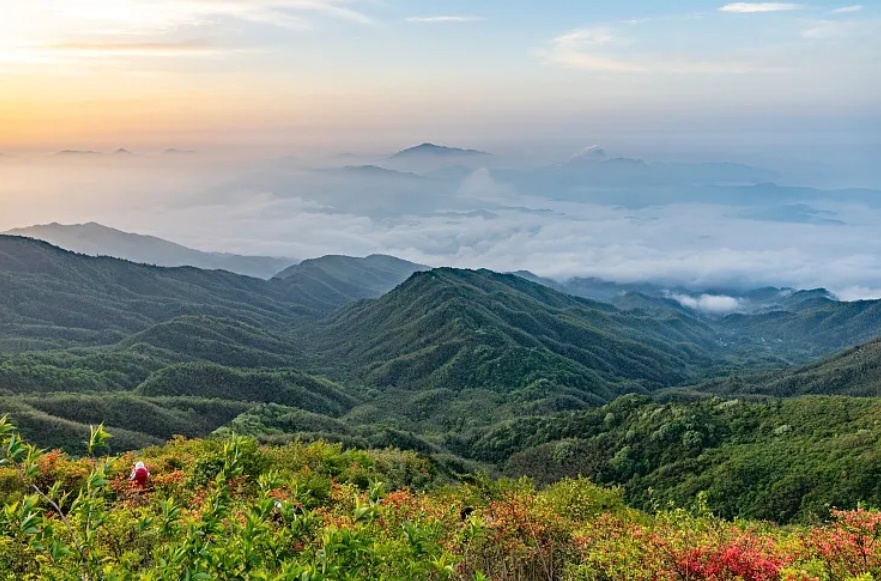 晨读计划丨下周女性游客还能免票游大围山公园,教资考生考前请注意