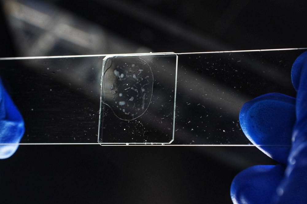 怎么买医用胶水科技周刊 ｜ 普通胶遇水就废 这款胶偏不怕水_https://www.jmylbn.com_新闻资讯_第4张