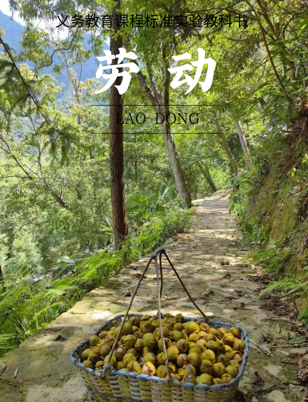把开学焦虑，扔进临安的山河里！_腾讯新闻