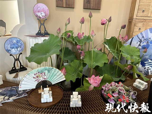 惟有绿荷红菡萏，第三届香·扇书画精品展在扬州开展-腾讯新闻