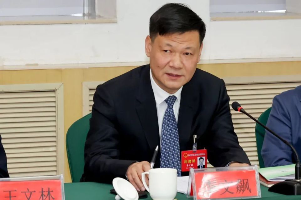 李文飙在开原市代表团参加审议时强调  推动经济社会高质量发展 奋力
