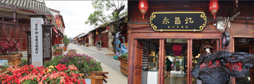 草地公园,银杏村,湿地……来这个"世界康养目的地"看看吧