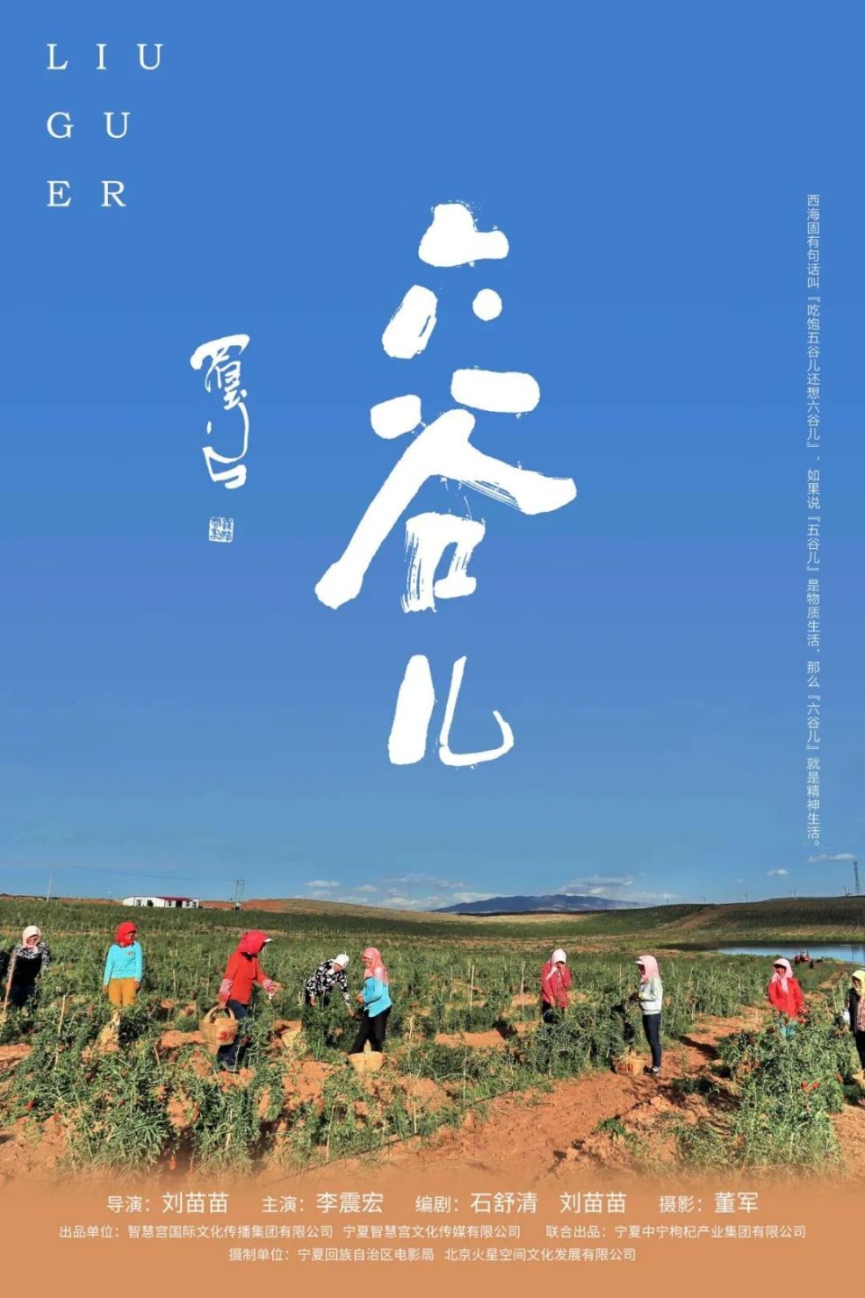 海报丨唱响乡村振兴华美乐章  电影《六谷儿》宁夏首映
