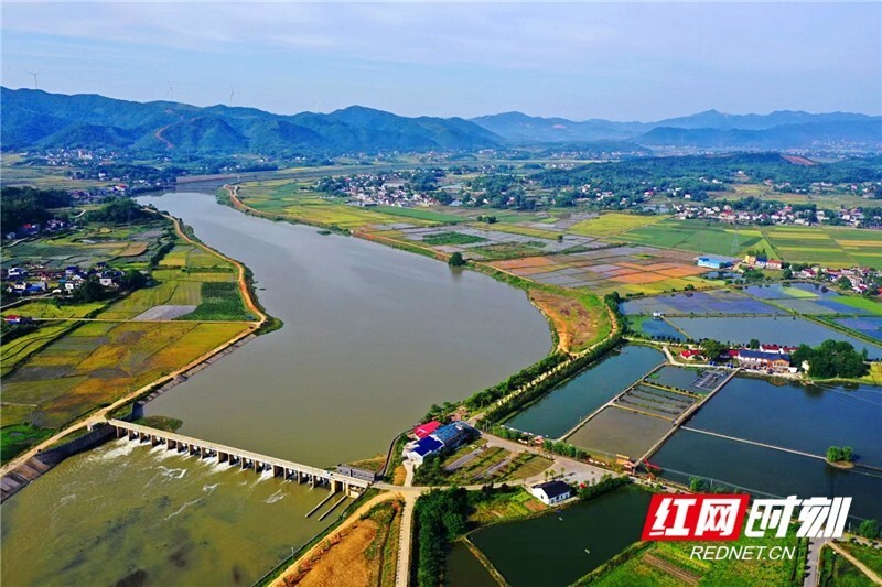 曾秉炎丨四递筒车_腾讯新闻