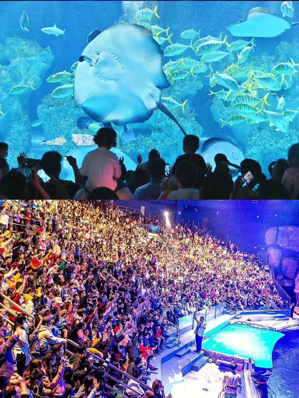 演艺活动,雅茶市集,摄影大赛,高峰论坛,采风行动等精彩活动轮番上阵