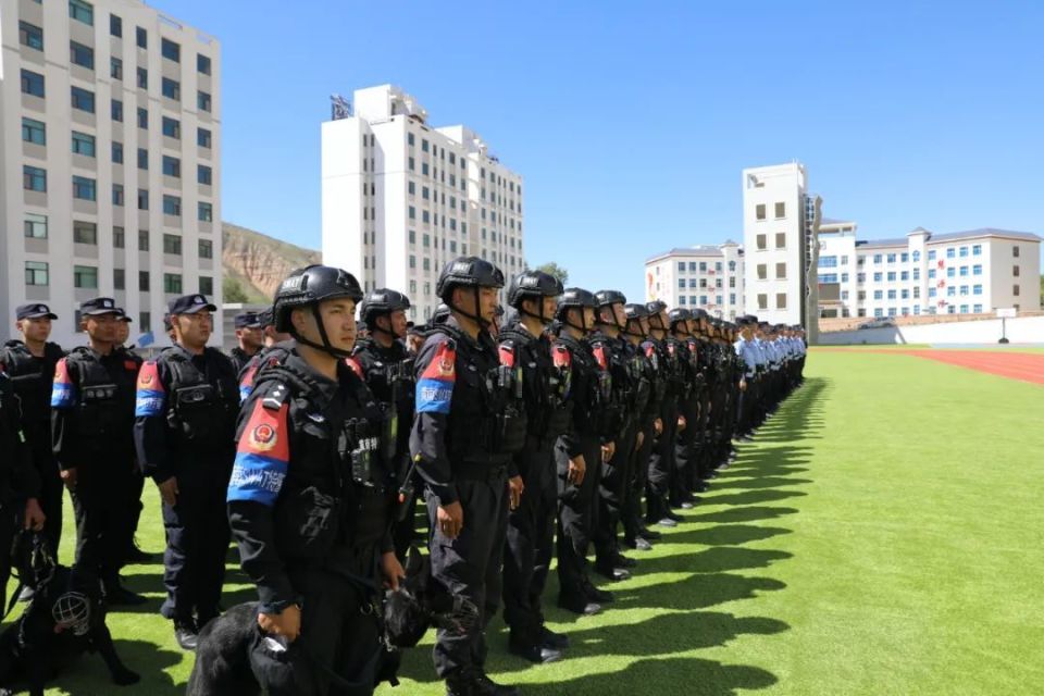 受副州长,公安局党委书记,局长李勇委托,局党委副书记,政委严金源作战