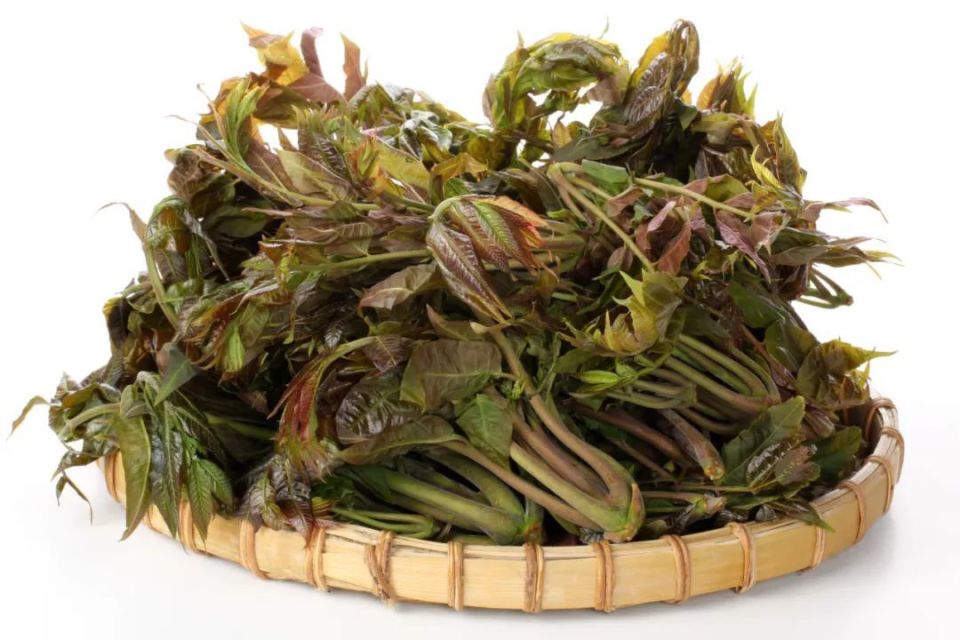 尝一口春天的味道