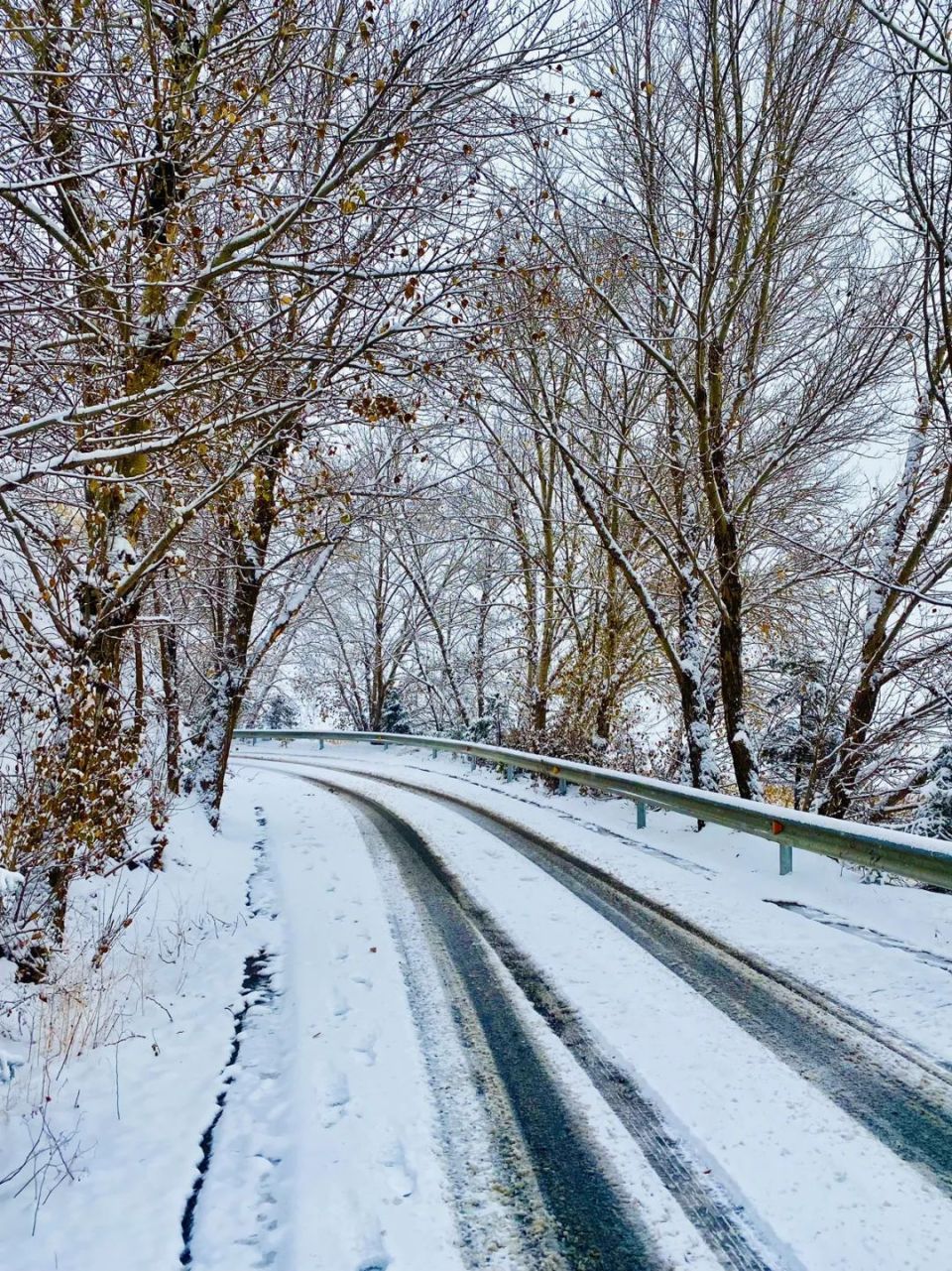 岳麓山雪景图片