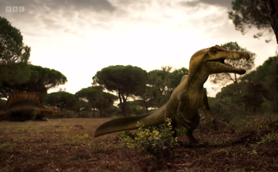 刚出生的小棘龙有多可爱!