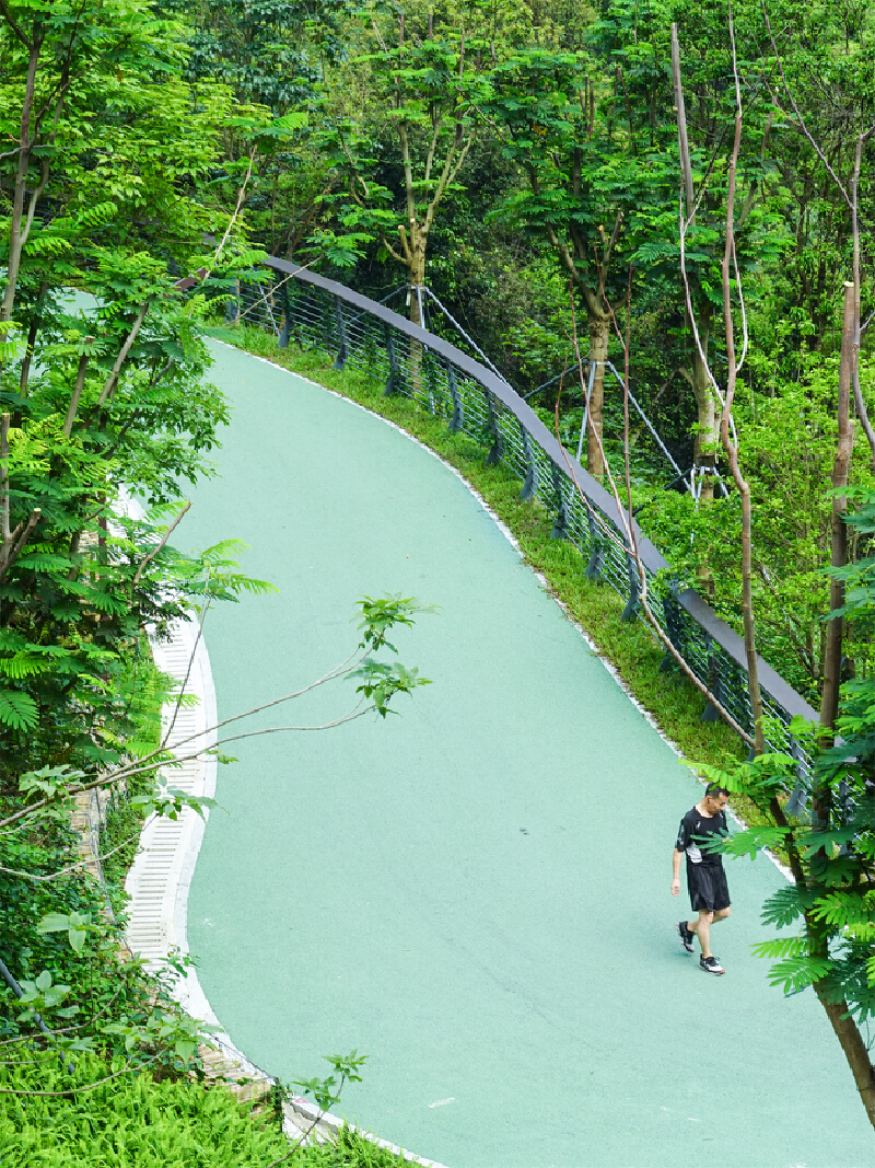 深圳enjoy|试过了,这条绿道真的可以"去班味"