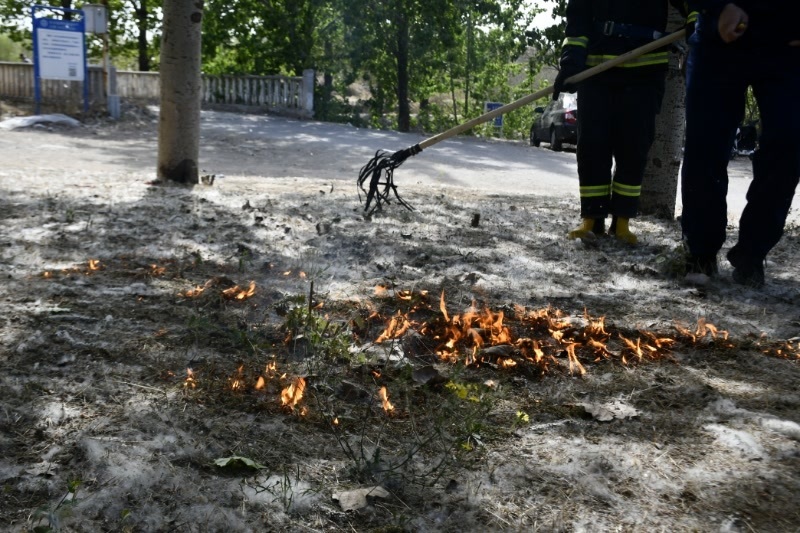 一男子烧杂草引燃杨柳絮致火灾被行拘10日
