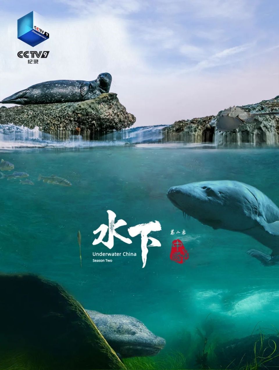 扎个猛子,大饱眼福!拜访《水下中国》第二季的神奇居民00