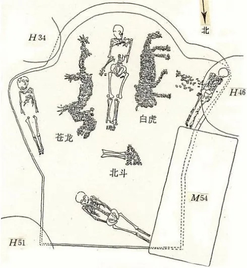 龙出河南|濮阳蚌塑龙——中国龙的正宗祖先_腾讯新闻
