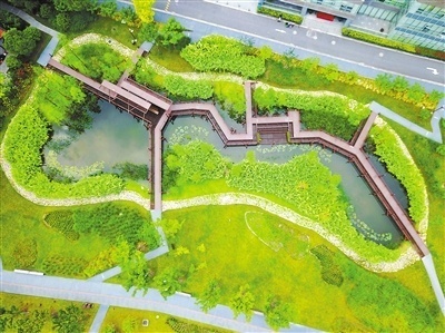 让城市滨水空间成为"活力磁场"