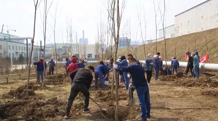 【4·20森工植树日】林区各地:共"植"新绿   同"树"未来
