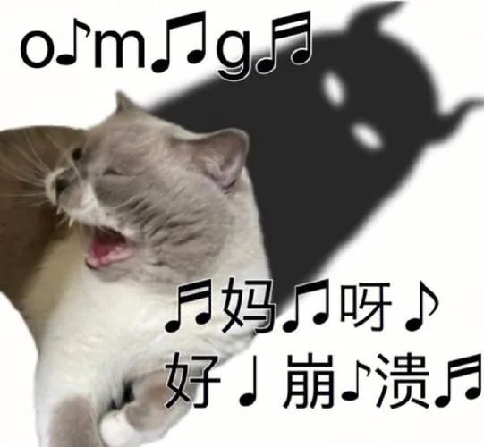 我们终于活成了自己满意的"癫公癫婆",喜欢的东西越来越搞怪