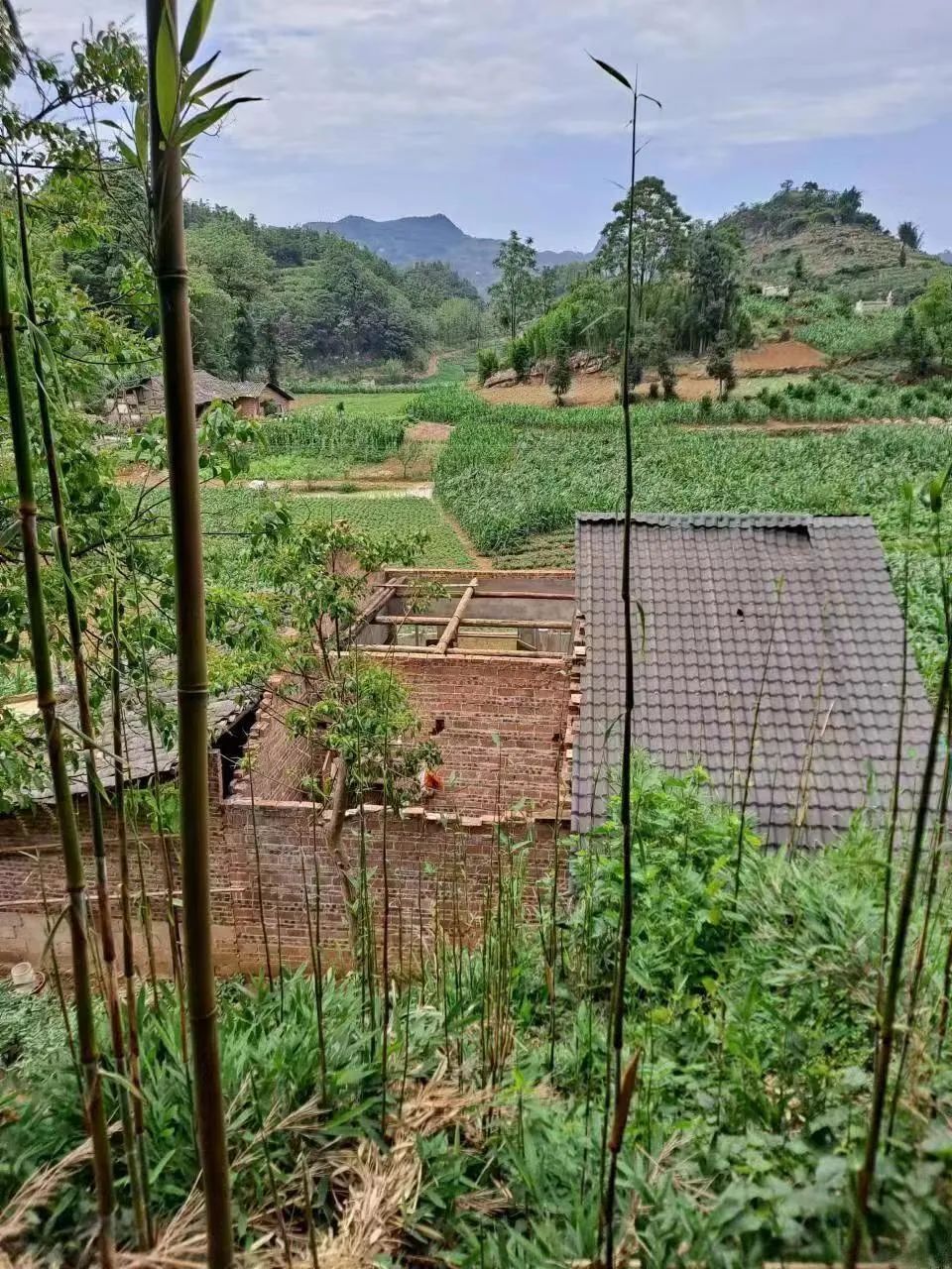 图片来源:宜宾市气象局5月22日,宜宾市气象台发布降水天气趋势预报
