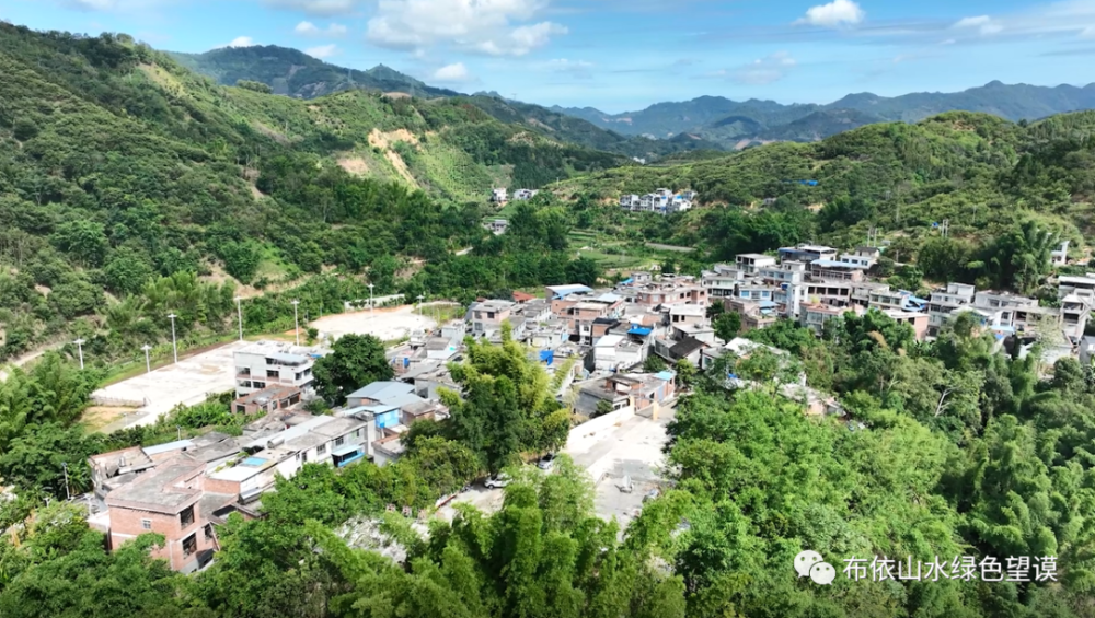 【黔进先锋 贵在行动】望谟县平洞街道洛郎村党支部书记,村委会主任