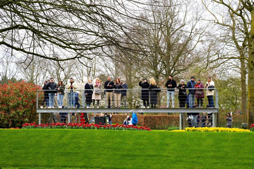 荷兰库肯霍夫公园迎来开园75周年2