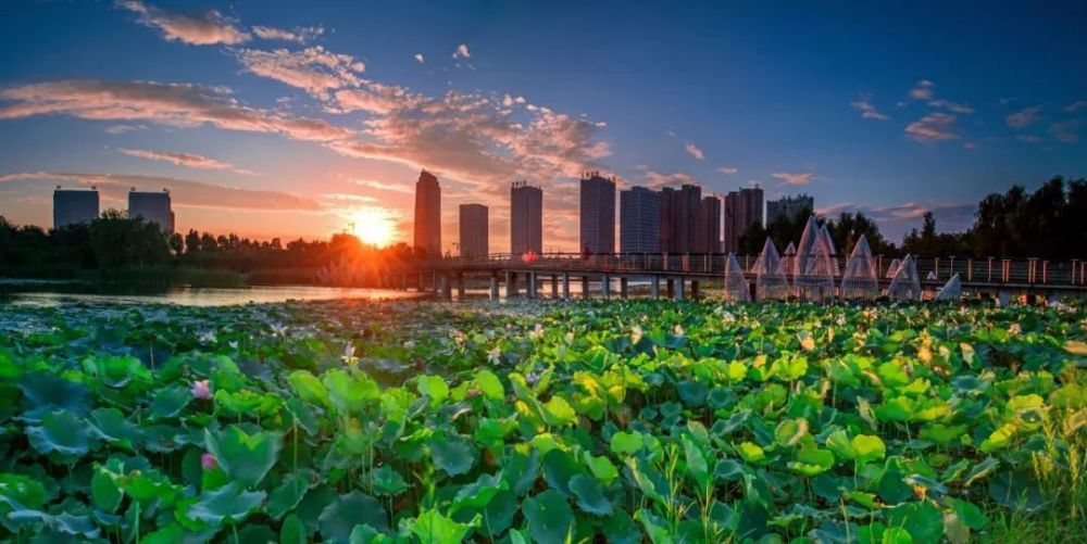 河南省水利厅出台政策:支持许昌市加快推进禹州沙陀湖调蓄工程建设