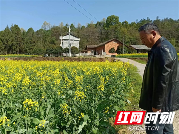 三官寺土家族乡龙岗村百姓心中的自家人