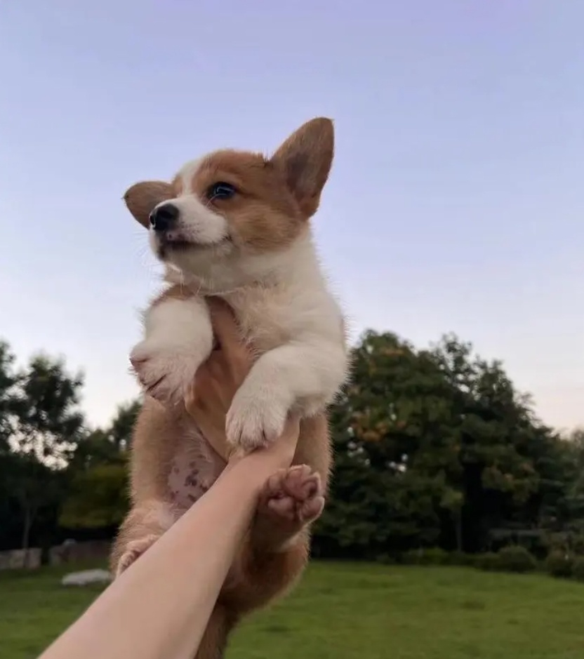 一周警报_腾讯新闻