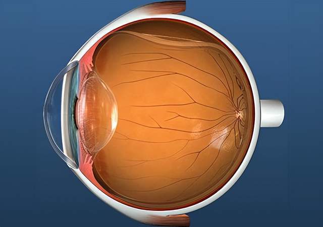 来鱼了喽男子钓鱼拉杆太猛被鱼竿打伤右眼差点失明