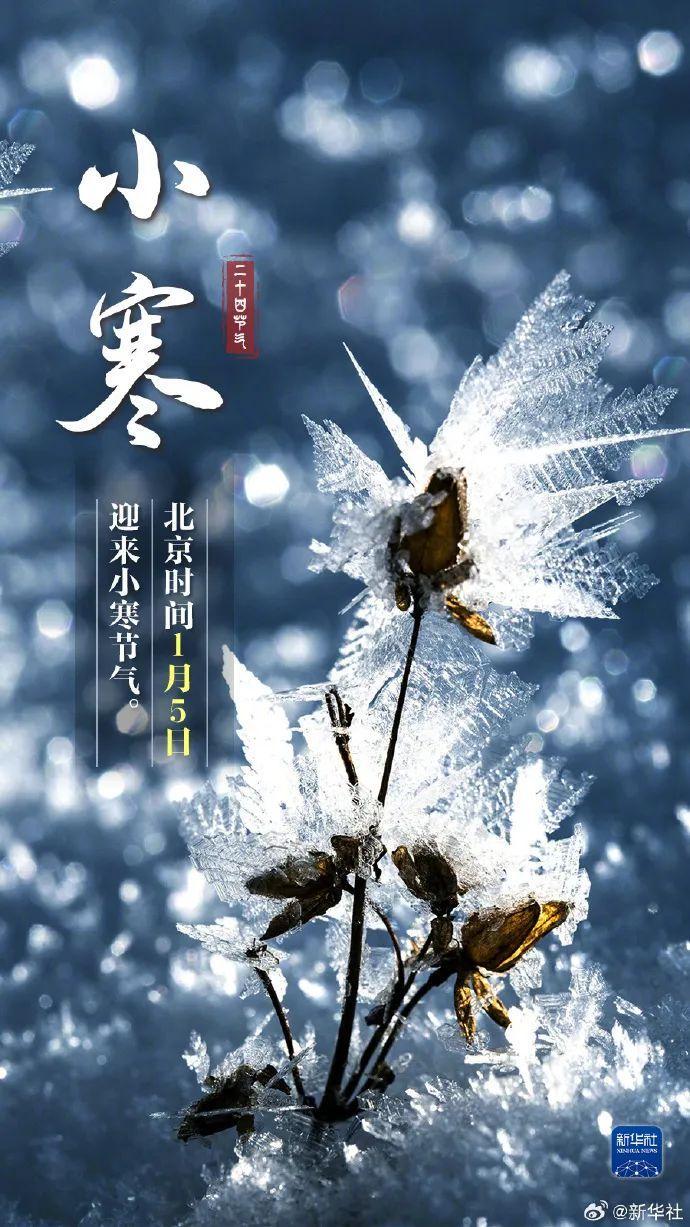今日小寒