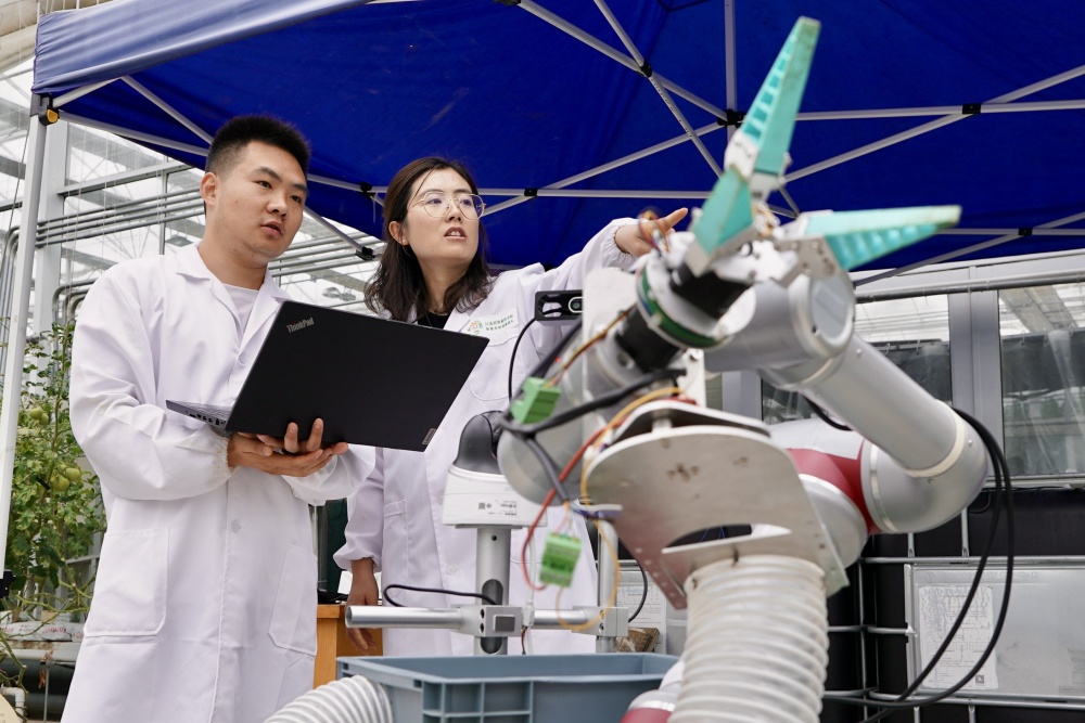 ai"慧"种地:与番茄"对话",种出"儿时味道"_腾讯新闻