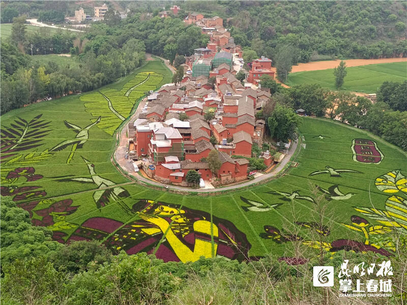 宜良耿家营"两湾"插秧忙