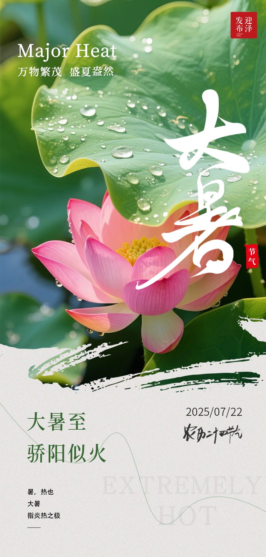 四季生活丨迎泽问候:大暑