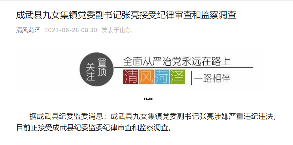 山东成武县九女集镇党委副书记张亮接受审查调查