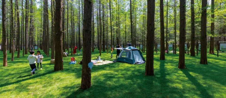 又 是 被 「 日 照 」 的 一 天