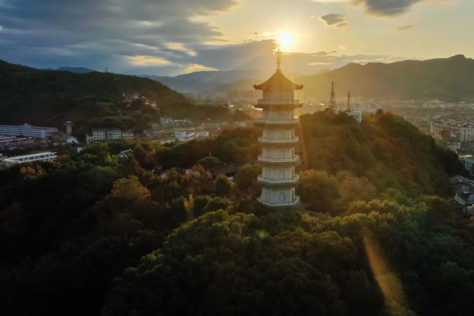 看灵溪这八大园!