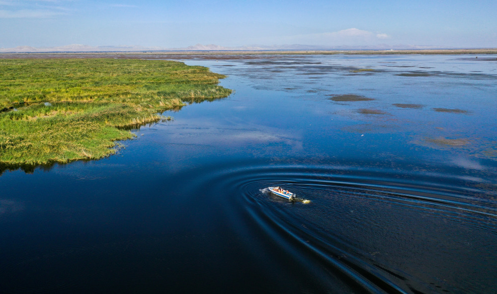 新时代中国调研行·黄河篇|守望乌梁素海的大学生们