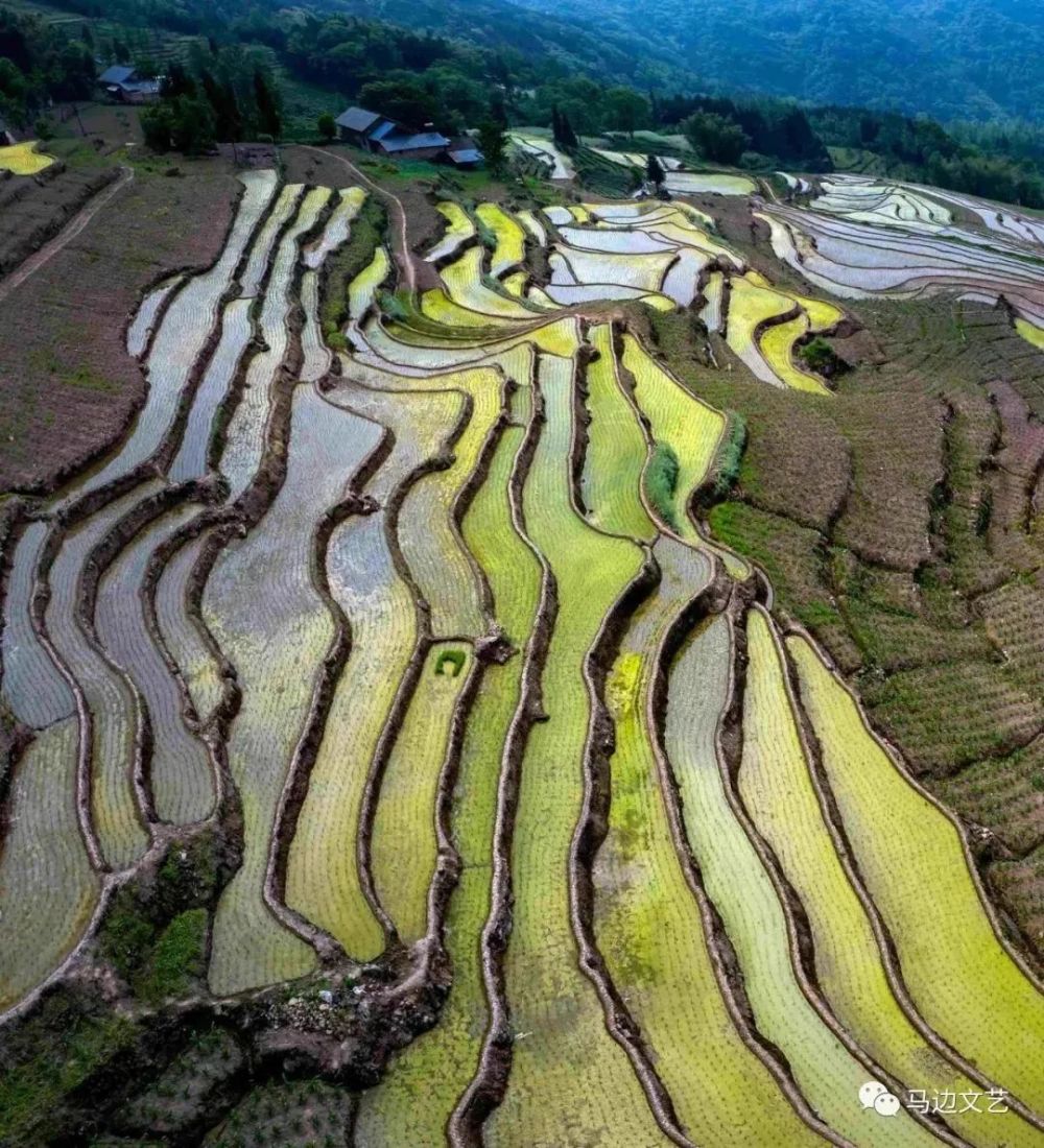 五月遇见马边筲箕坡最美梯田