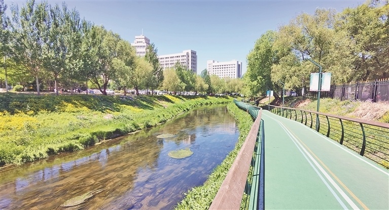 冰城深1度|倾情管护 哈尔滨内河"靓起来"