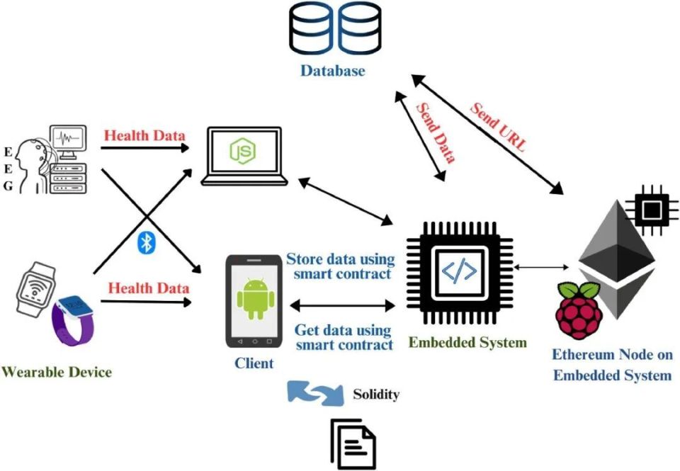 心电图机器怎么看追问weekly ｜ 过去一周，脑科学领域有哪些新发现？_https://www.jmylbn.com_新闻资讯_第22张