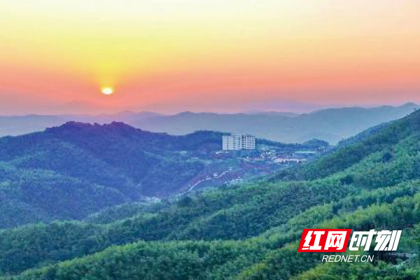 42项工作获奖励桃江挺抢作风促高质量发展