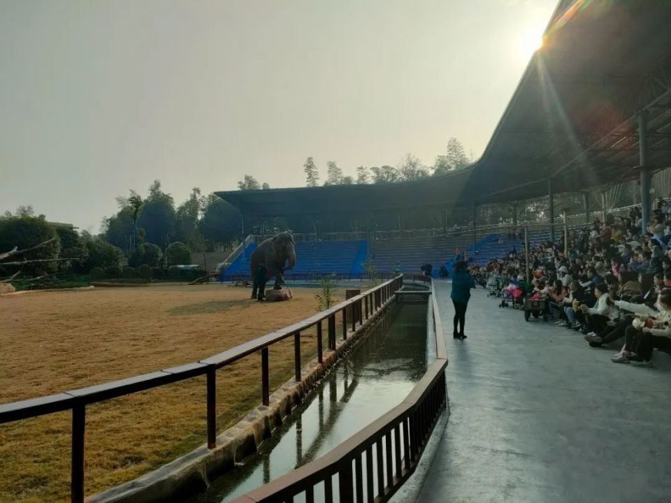 常德漢壽遊客探訪動物王國體驗自然之美