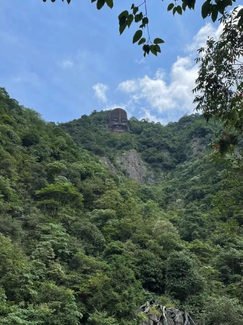最接近"避世"两字的地方,超级低调的浙江小山城,坐拥云海梯田绝美风光