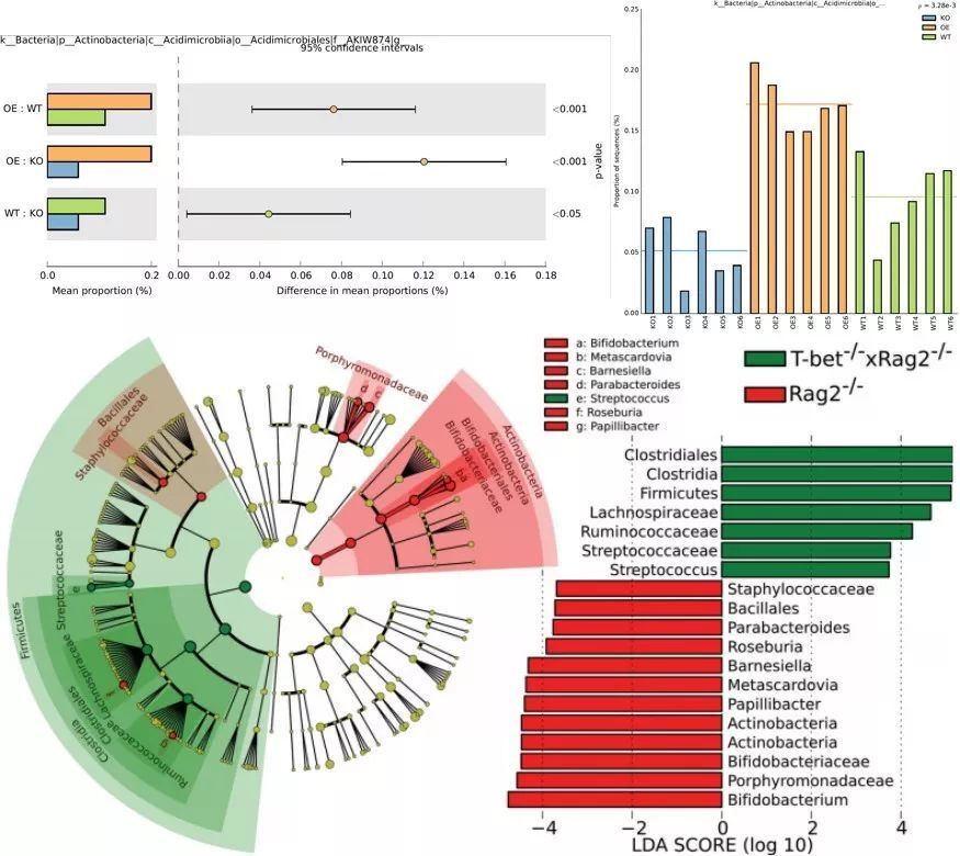 三天集中微生物组扩增子16s分析和可视化20236