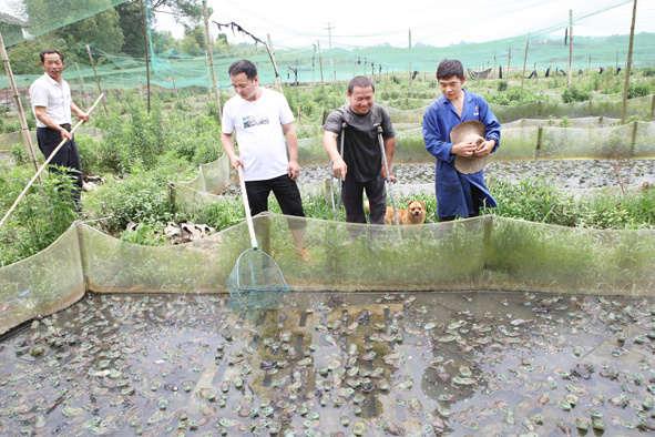 刘全样正在与同村的青年创业者交流牛蛙养殖经验1976年10月出生的刘全