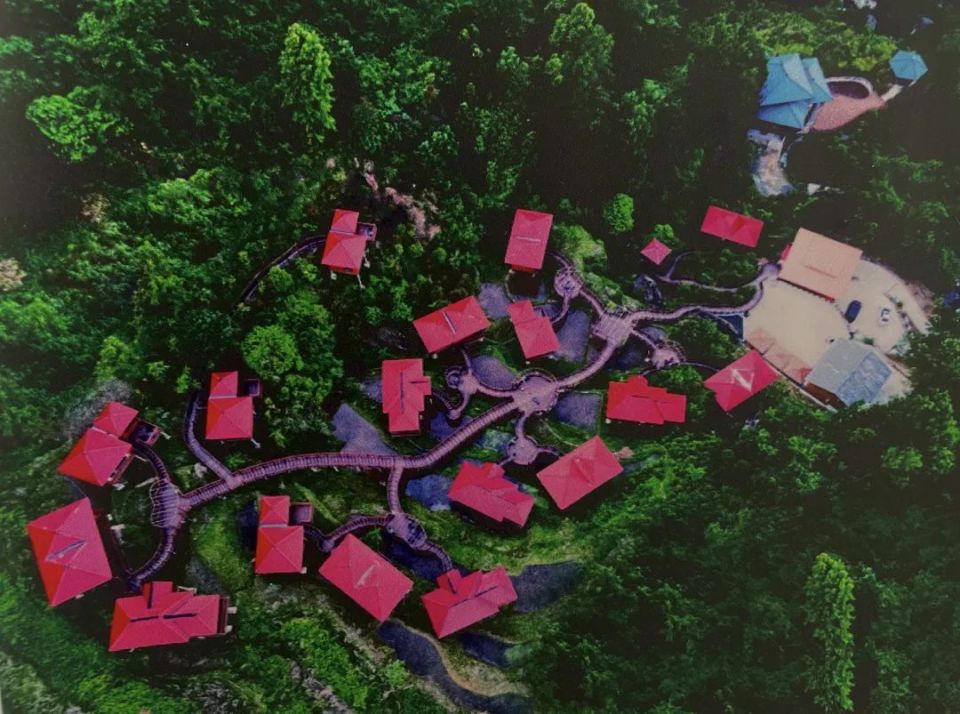 来平利芍药谷,开启旅游新体验!【959分享】_腾讯新闻