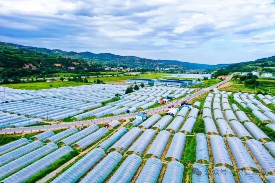 崇信县新窑镇柏家沟村图片