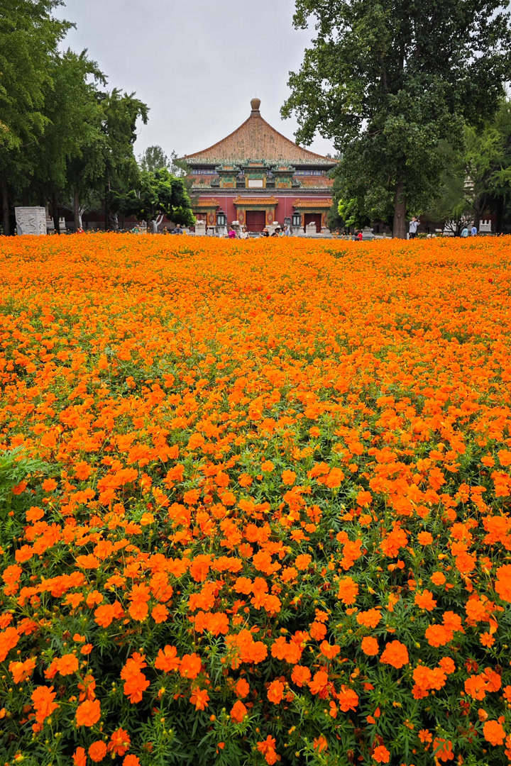 北海花海景点在哪图片