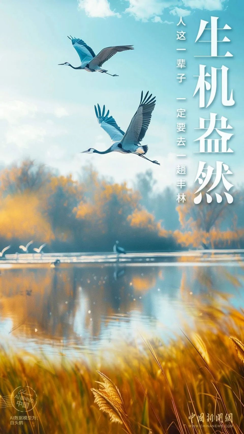 人这一辈子,一定要去一趟丰林!